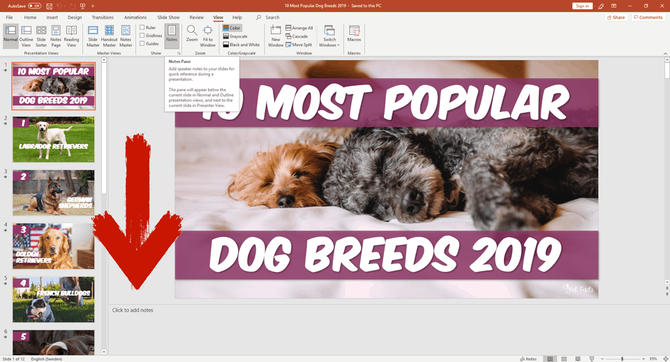 The Notes Pane, also known as Speaker Notes in PowerPoint