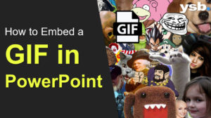 how-to-embed-gif-in-powerpoint
